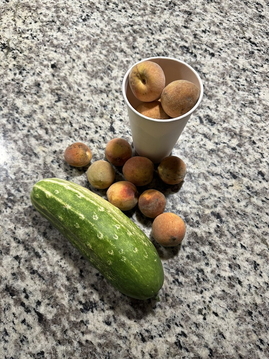 Miss Piper Johnson tweet media