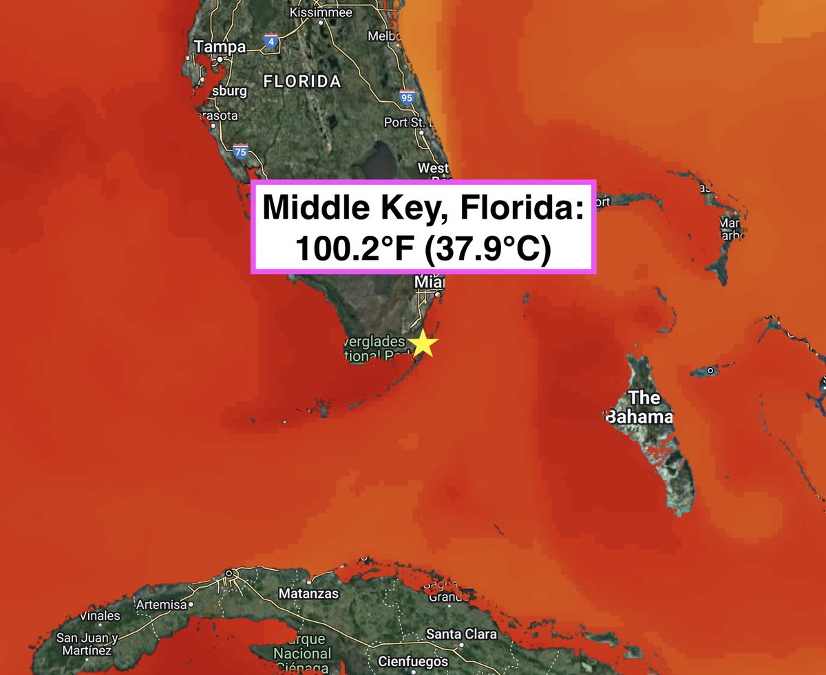 South Florida has yet again recorded a sea surface temperature over 100°F as a severe marine heatwave continues to grip the region. 

Severe coral bleaching is ongoing in the Florida Keys, with significant mortality reported on multiple reefs.