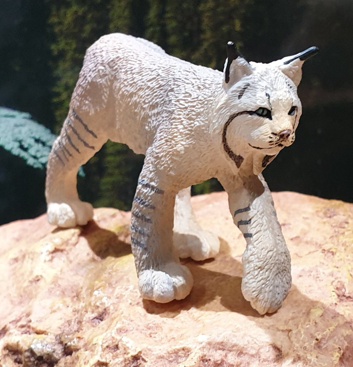 AnimalFigureOfTheDay is another #lynx, and another Canada lynx