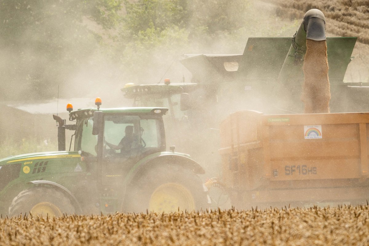 TheHillsCountry's tweet photo. Dust was flying around today.

With @LittleBigFarm @farmersists on the wheat at Eling https://t.co/Ybc1DfSGeU