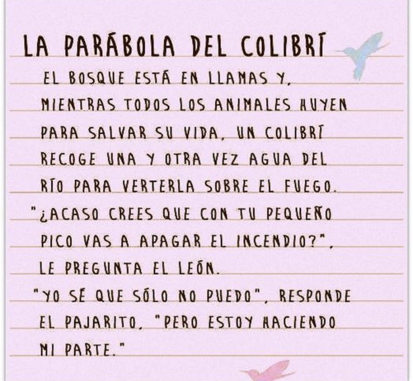 Paulo Coelho Español (@paulocoelhodice) on Twitter photo 
