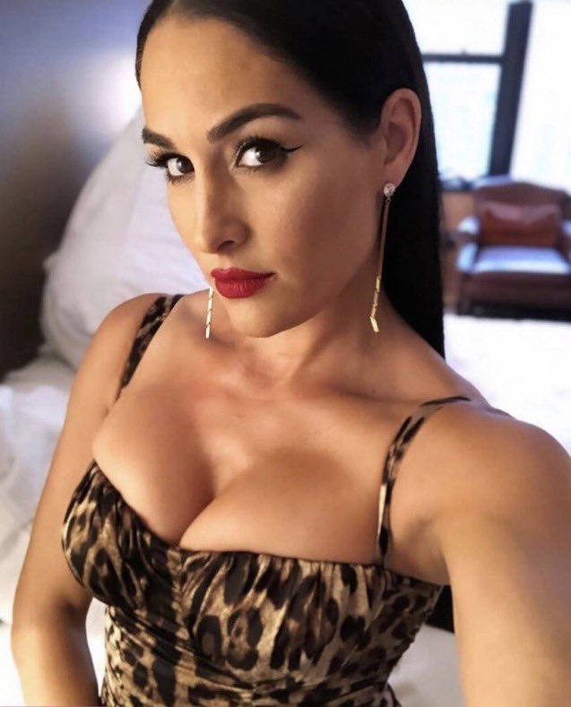 FitbaFanatic17's tweet photo. Willing to lose my streak if someone can ruin me with Nicki and Brie bella #wankbattle https://t.co/5wIWTCTtxo