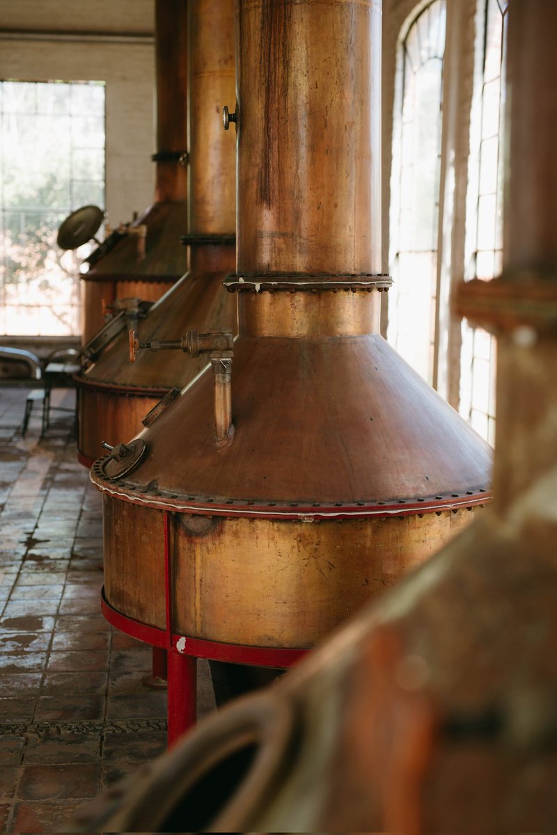 WDtradition's tweet photo. La tradizione ed il fascino dell'alambicco di rame.
#distillery #tradition #spirits https://t.co/sg2E2xRk9l