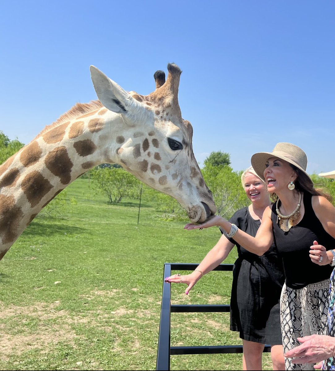 DeniseKaler's tweet photo. Obsessed with the animal experiences at Blue Hills Ranch, McGregor Texas! https://t.co/8sMkITsORD