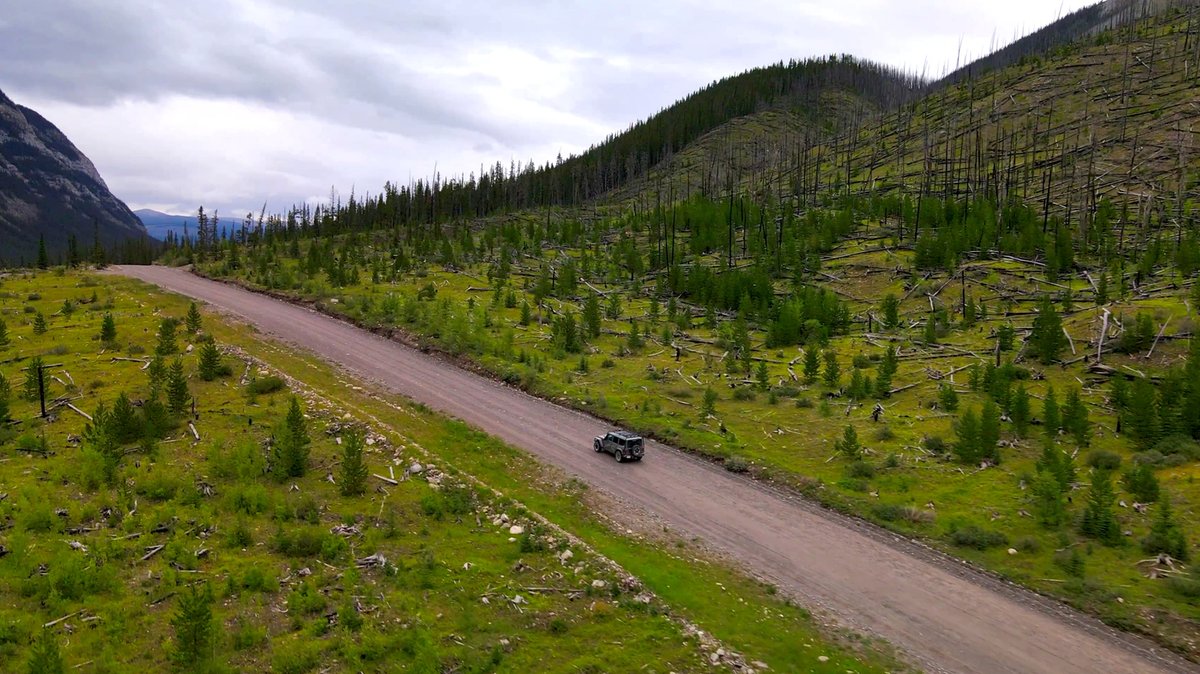EricTAdventures's tweet photo. Exciting drive to camp at Ram Falls Provincial Park
#rockymountainhouse #clearwatercounty #dtcountry #albertaparks #travelalberta #abparks #albertatravel #explorecanada #explorealberta #albertasheep #ramfallsprovincialpark #ramfallspp #ramfalls #albertawaterfalls #albertafalls https://t.co/Q3PNbKP0Bg