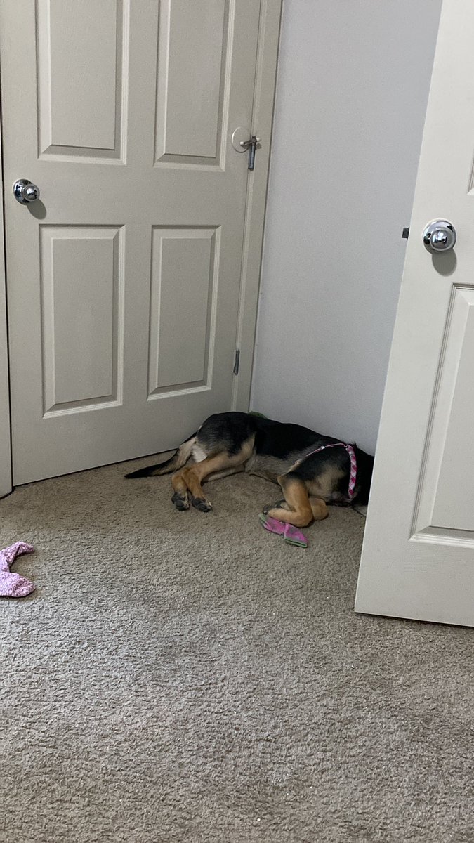 Sleepin with moms socks💀