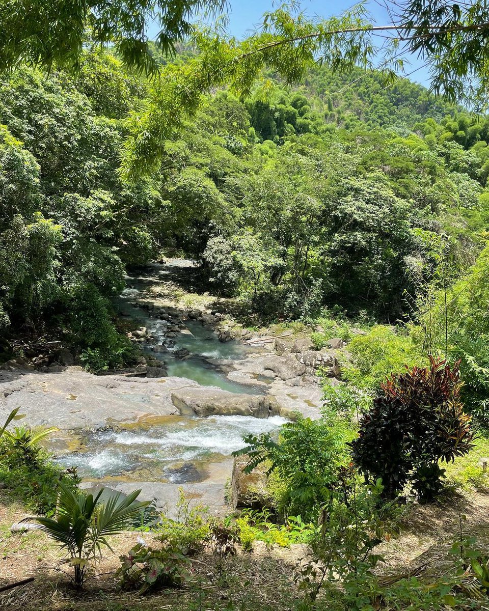 La Parroquia de Hanover no solo representa un lugar de culto sino también un símbolo de unidad y fortaleza. ¿ Te gustaría visitar este destino ?

#VisitaJamaica #VenProntoAJamaica #LatidodelMundo
📸: revivehealth_michellereeds