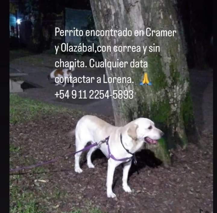 Tabyta201's tweet photo. 🚨ENCONTRADO EN CABA https://t.co/zbLosFtWPq