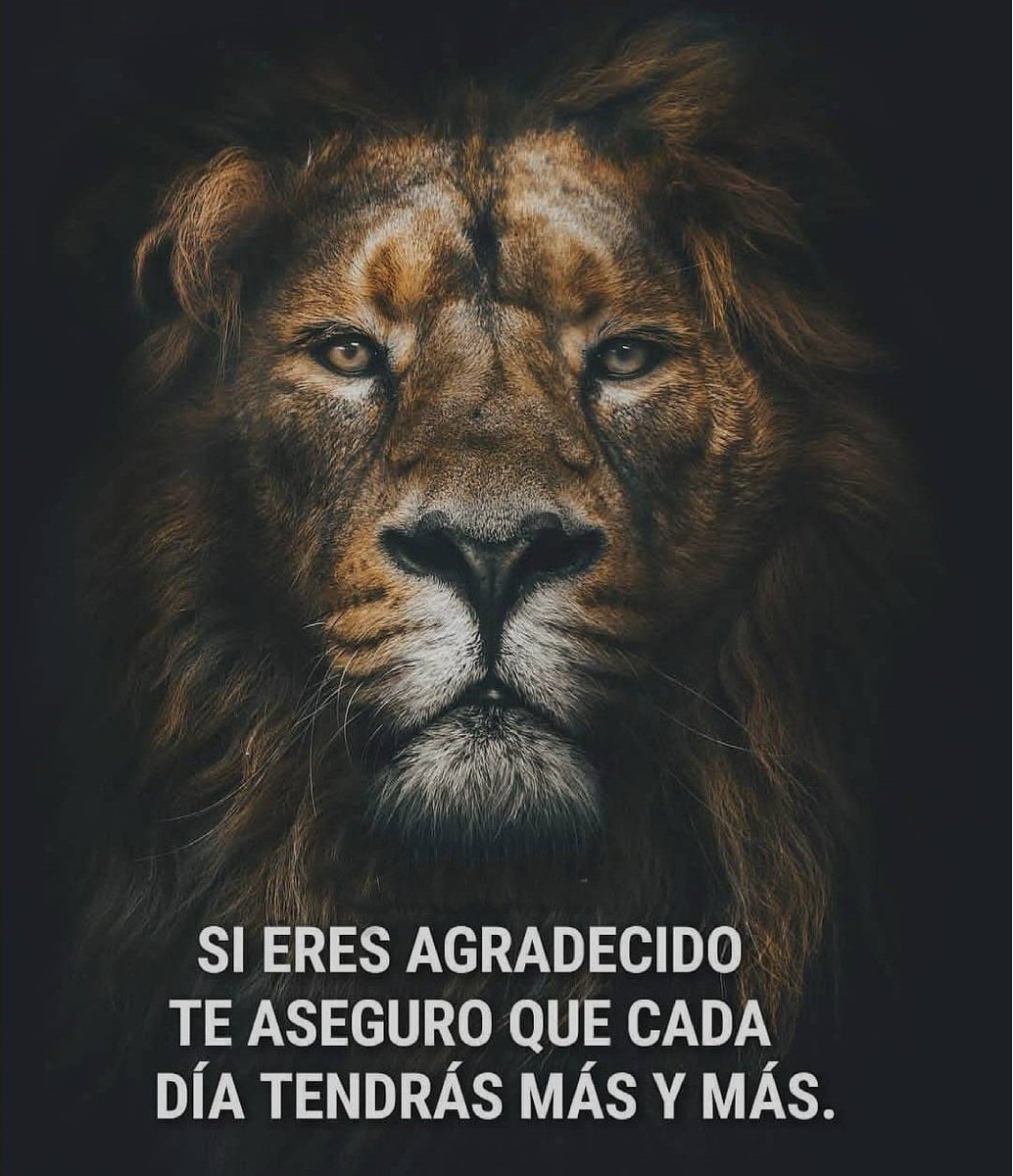 ✨💫🌟Vibro en Abundancia🌟💫✨

💫💰Decreta: GRACIAS💰🙏💫