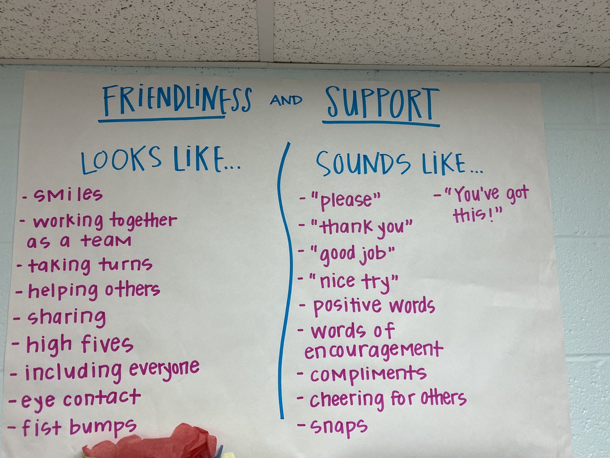 lauren_allinder's tweet photo. This week was all about building a classroom community of friendly, supportive, team players! So, #AllindersAngels established what that should look/sound like in our classroom! #HernandoHasClass @TweetDCS_HMS https://t.co/bc1nB1yovc