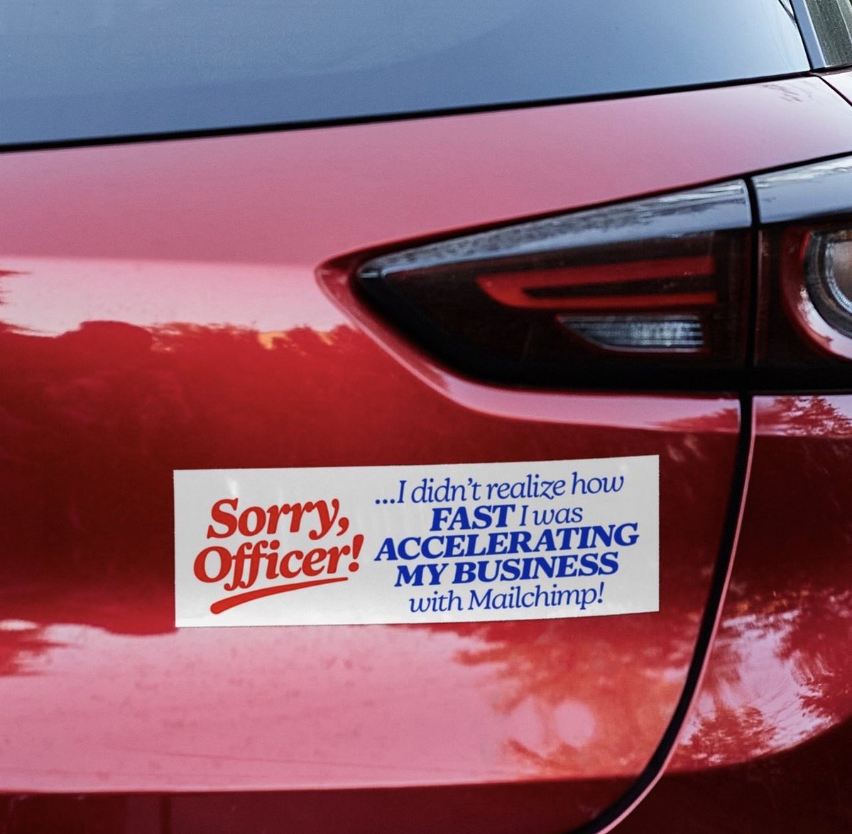 Michelle Taite tweet media