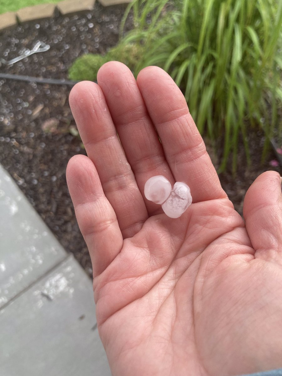 HurricaneJoe214's tweet photo. @NWSTwinCities 6:08pm 95th/Hadley area. Oblong hail and intense rainfall (2.76”/hr)

Rain total shown is since midnight. https://t.co/eJHfiAewAR