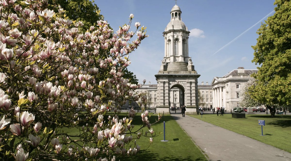 It’s a wrap! The last day of #IBGSS2023 saw our students read Romanos, Porphyrogenitus, Eustathius, Harmenopoulos, & more. With the summer (briefly?) back in Dublin, we say goodbye to our brilliant students and hard-working staff at @TCDClassics, and look forward to #IBGSS2024.