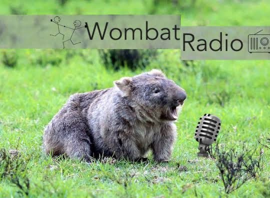 LostWombats's tweet photo. Everything you need to know about Wombats’s with Prof Julie Old on ABC Radio Sydney 702 9:30am https://t.co/sjZJM4xAKC
