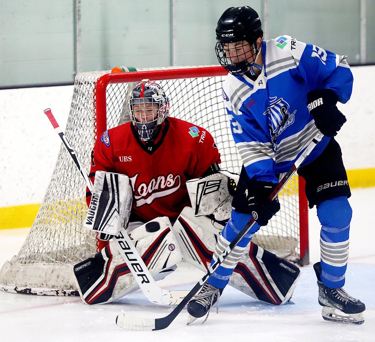 MinnHockeyHP's tweet photo. 14 TIER I:  Four different skaters score as Loons hold on against Lakers for 4-2 win at Augsburg, move record to 2-0. Goals:
Loons (2-0-0): O Witham, J Osland, R Dunbar, M Matyas
Lakers (0-1-1): C Wang, JBloedow
Shots 29-26, Lakers
#ccmhp
https://t.co/DS8gX6FNtU https://t.co/DX9J3JkNsc