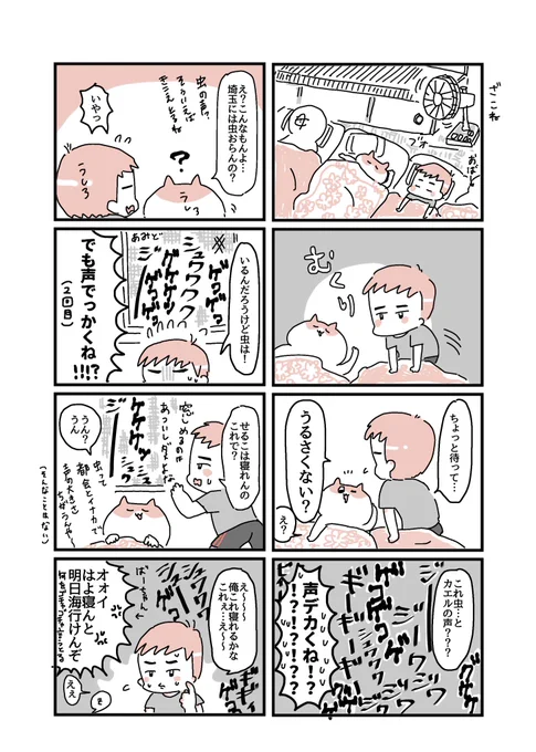 田舎の夜の洗礼(2/2) #マンガが読めるハッシュタグ #コミックエッセイ