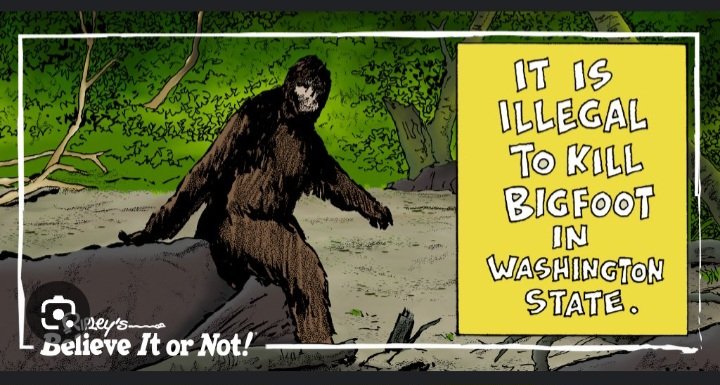 BubblesNCOS's tweet image. #visitCOS
#CraftsandDrafts
#LEGENDARY Get the Passport!