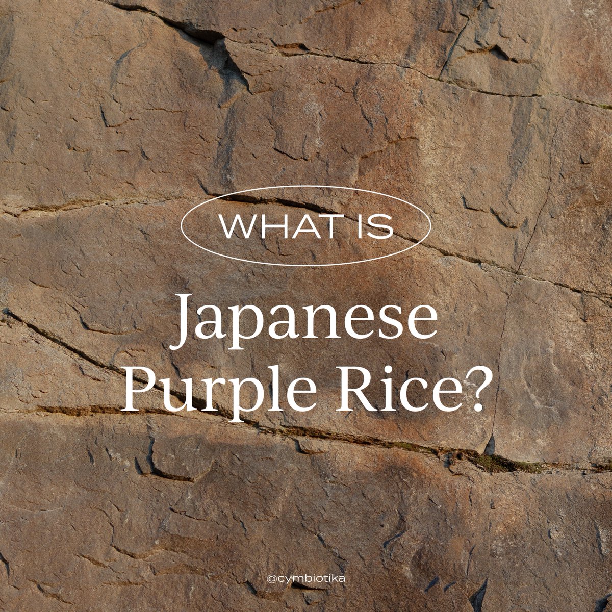 CYMBIOTIKA tweet media