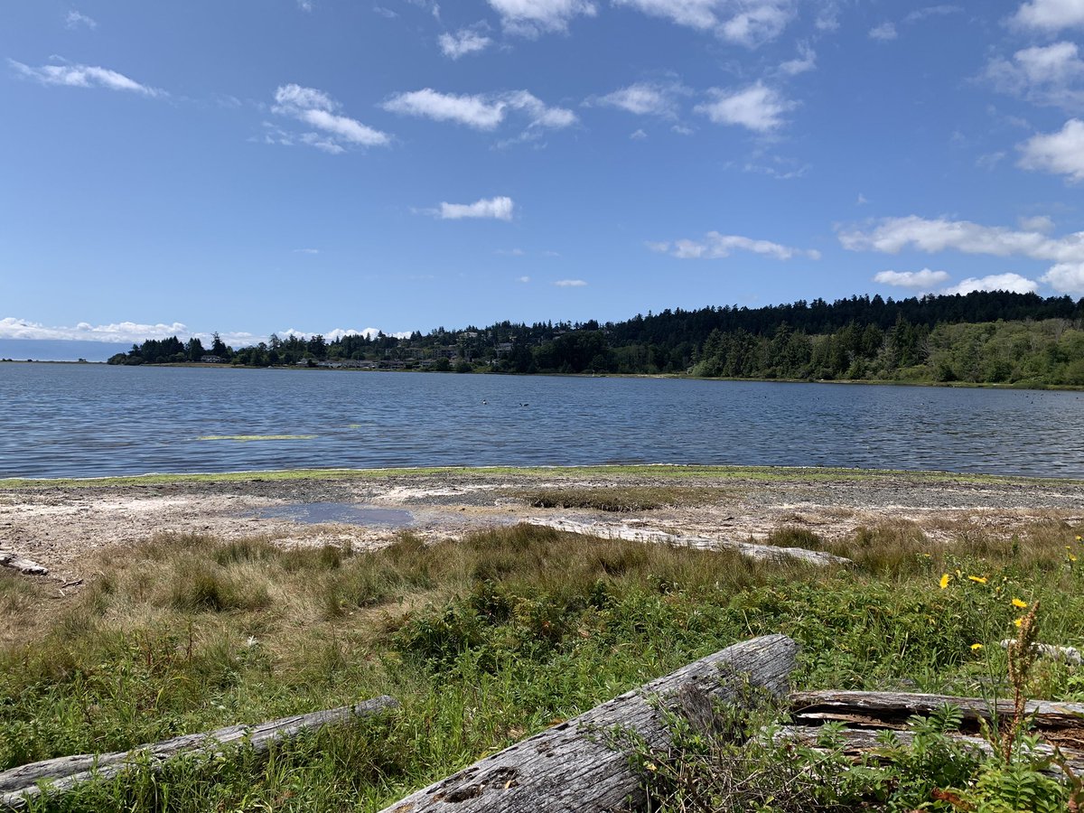 MrsGagneTeaches's tweet photo. Learning with nature, on these inspiring lands was a truly transformative experience. Such a fantastic residency, with the best people to begin my masters journey #MEEC @RoyalRoads https://t.co/5SZdltexPB