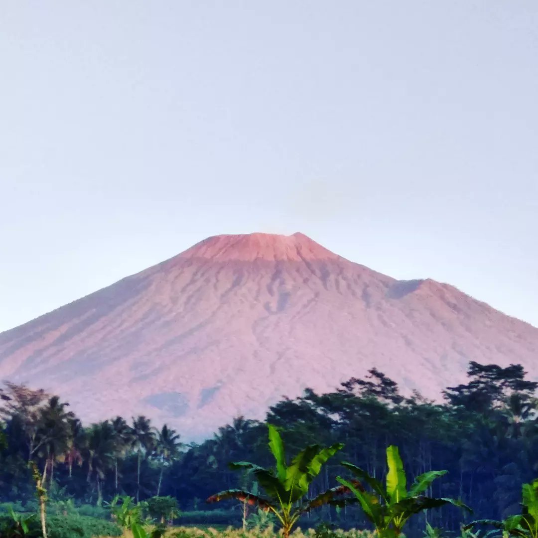 indonesianplant's tweet photo. Gunung Slamet
3.432 Mdpl
#Nature #NaturePhotography #NatureBeauty #naturelovers #NatureBeautiful #mountslamet https://t.co/5qLqRSGEdC