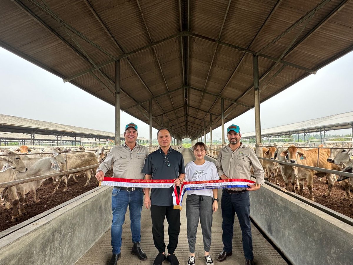 'The other significant side to the Katherine Show Sale a few weeks back is it's great to see happy Australian exporters and importers in Indonesia proudly receiving quality Australian Brahman cattle.' - Leo Neill-Ballantine, Elders Katherine