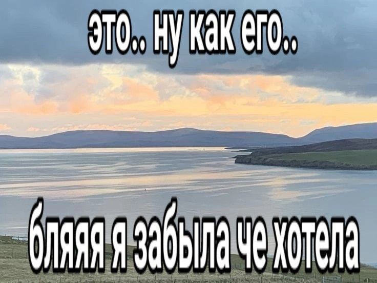_kirschbaum___'s tweet photo. что общего у этих фото? правильно они описывают меня https://t.co/CiCC01o9EN