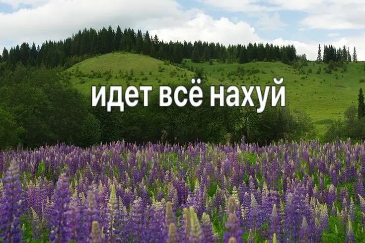 _kirschbaum___'s tweet photo. что общего у этих фото? правильно они описывают меня https://t.co/CiCC01o9EN