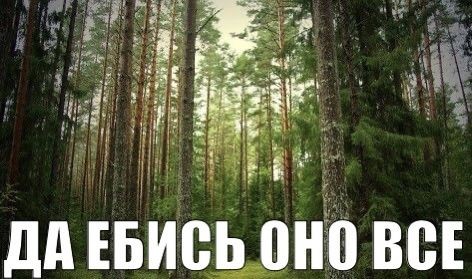_kirschbaum___'s tweet photo. что общего у этих фото? правильно они описывают меня https://t.co/CiCC01o9EN