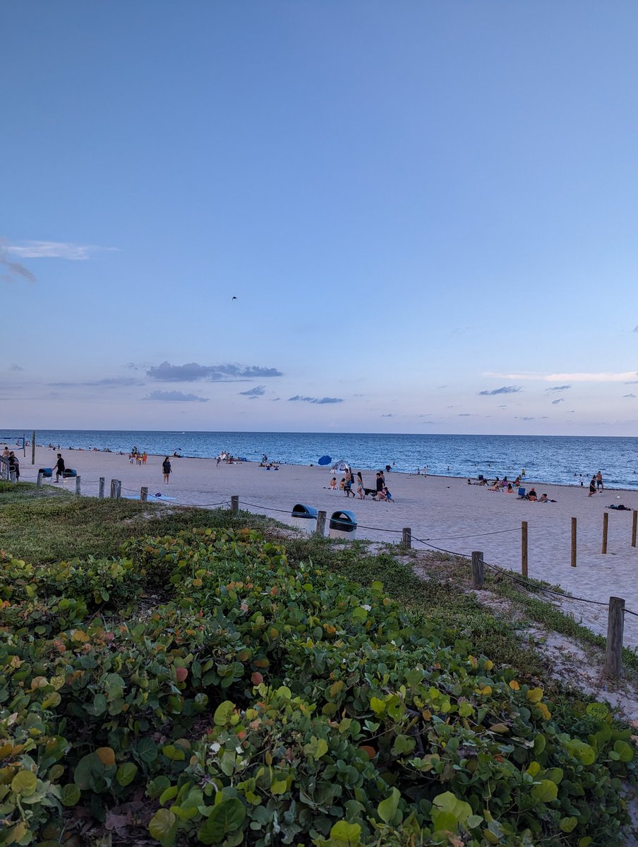 Lenny_Bons's tweet photo. Strolling down #deerfieldbeach enjoying the #vibe and weather. #pixel7pro #video #teampixel @GooglePixel_US #itsagthing https://t.co/oDBZba0NnJ