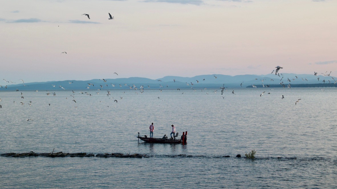 ncpr's tweet photo. Photo of the Day: "Hello ADKs, from Lake Champlain." 📸 : Kirk Sullivan, @kirksullivanyo https://t.co/eWjU1uqWZu