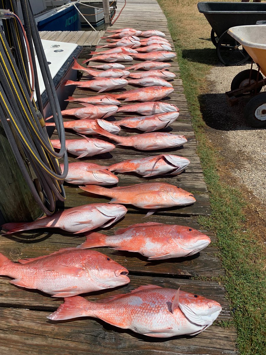 Copperhead tweet media