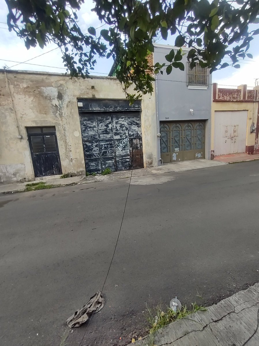 AleBarbaC's tweet photo. @Ramiro_Escoto @TelevisaGDL @TVAztecaJalisco @hederzona3 @lider919 y por la calle de Bartolomé de las Casas en la colonia Analco, de los árboles cuelgan los cables de alguna compañía de cable https://t.co/FyJKkNSnyr