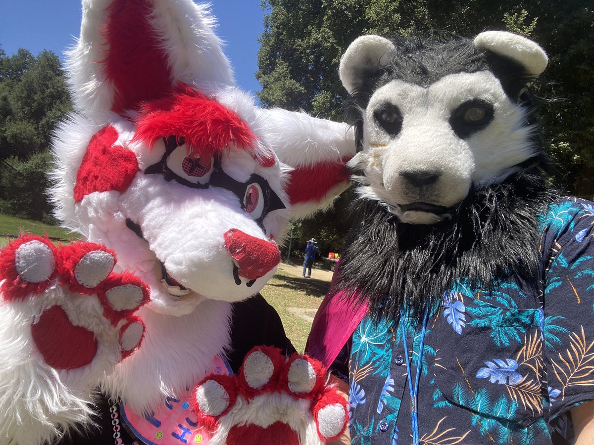 SOCAL FURBQ <a href="/SoCalFurBQ/">SoCal FurBQ - August 5th</a> 
a nice picture with this cute fluffy. I wasn’t able to get a name ^^ but love their suit design.  
#FursuitEveryday #FursuitFriday #furries #furryfandom