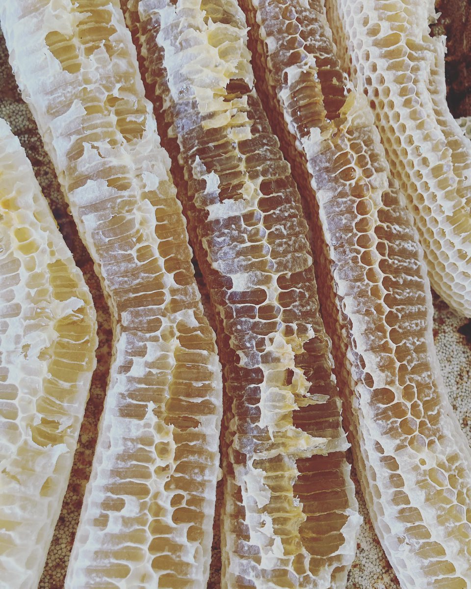 Bees work of art #honeycomb