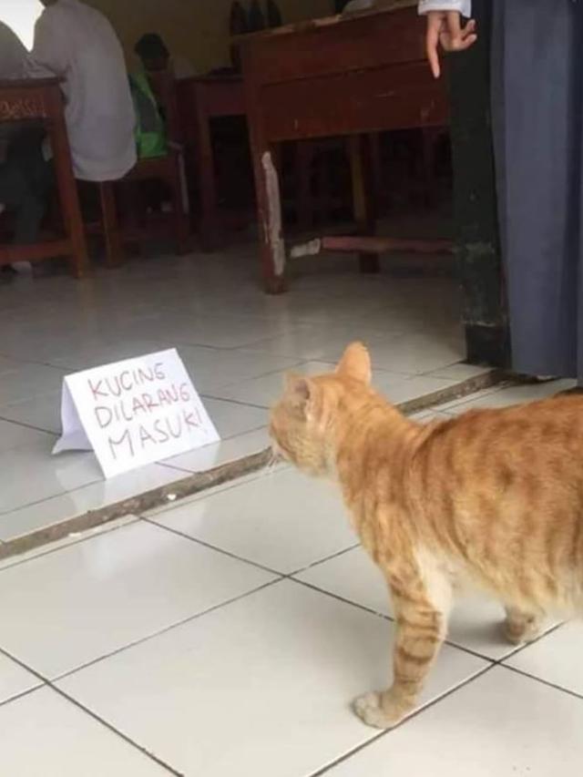 ulat_bulu_bulu's tweet photo. Terkini: Pemuda berang dinafikan hak mengundi, berjanji bakal tubuh parti baru. Parti Sampai Pagi. https://t.co/LaVo21xmE5