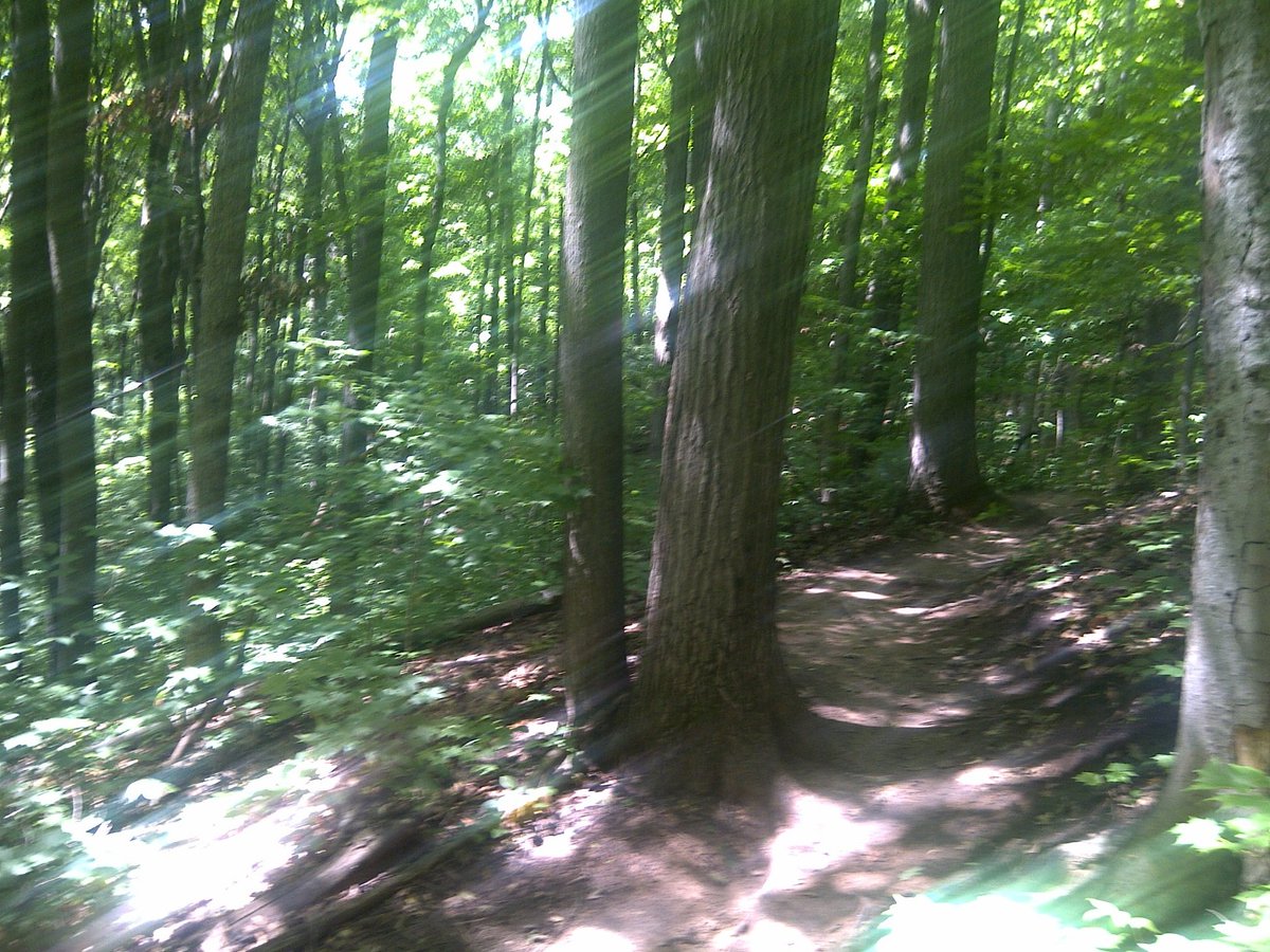 Carl Wright tweet media