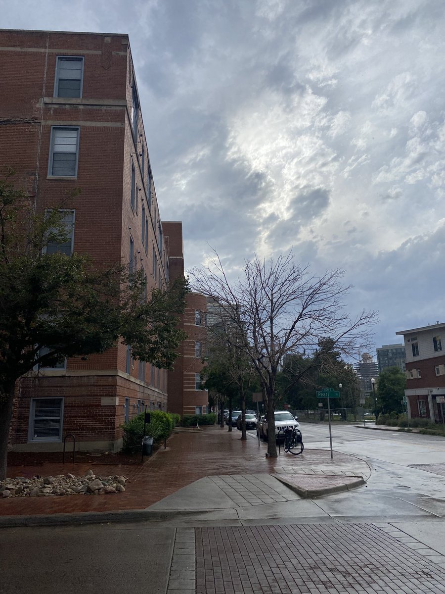 Karan_PlantPath's tweet image. Excited to be in #Denver with convenient public transportation. Though landscape doesn't look happy, feels like trees are escaping from the area! #Firstime in the west. 
Can't wait connecting with the amazing community at #Planthealth2023! 🌱🌿🌳🍄