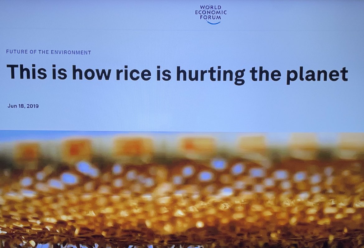 Liz Churchill tweet media