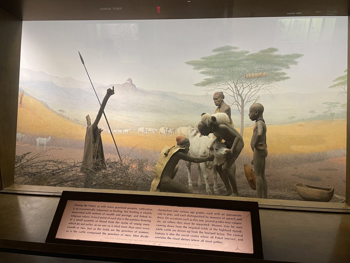 If the <a href="/amnh/">American Museum of Natural History</a> can update their Thanksgiving diorama then isn't about time they deal with their diorama on the Pokot people of East Africa?