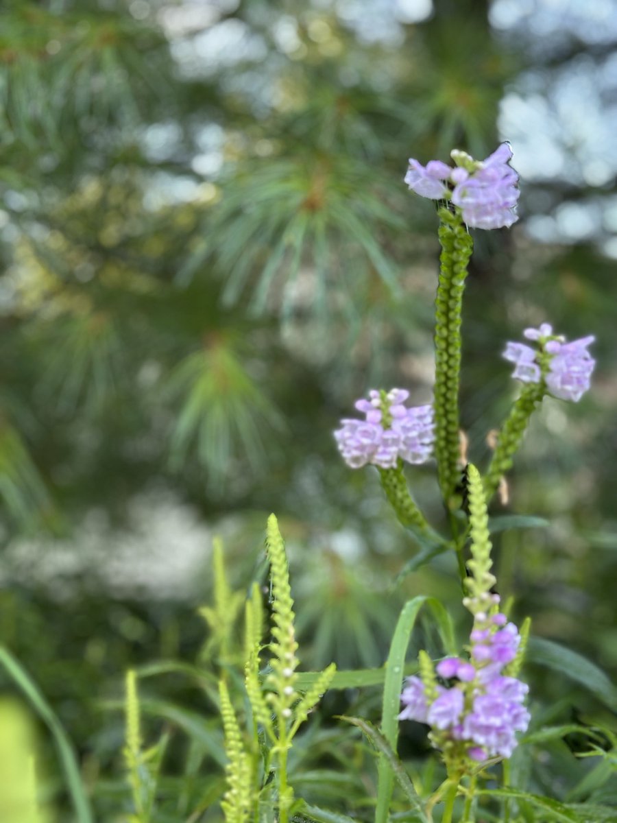 commandersusan's tweet image. After the rain, wind, hail this looks perfect ⁦@McDermedFox9⁩ ⁦@ian_leonard⁩
