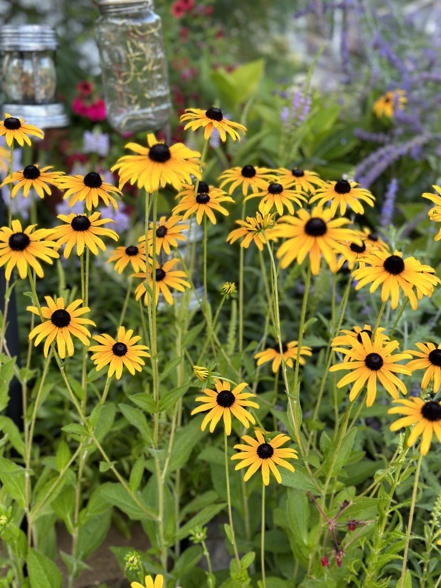 commandersusan's tweet image. After the rain, wind, hail this looks perfect ⁦@McDermedFox9⁩ ⁦@ian_leonard⁩