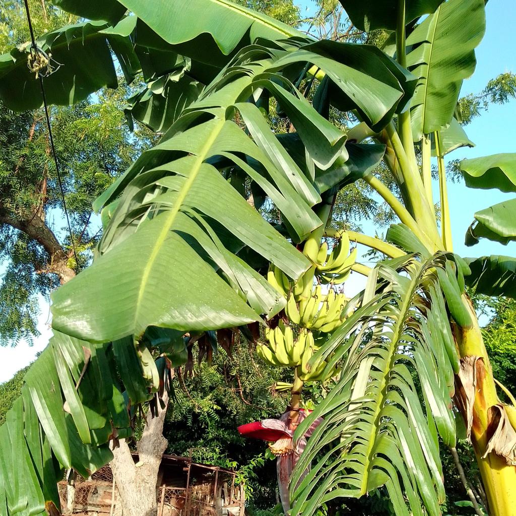 Gabriella Rodríguez tweet media