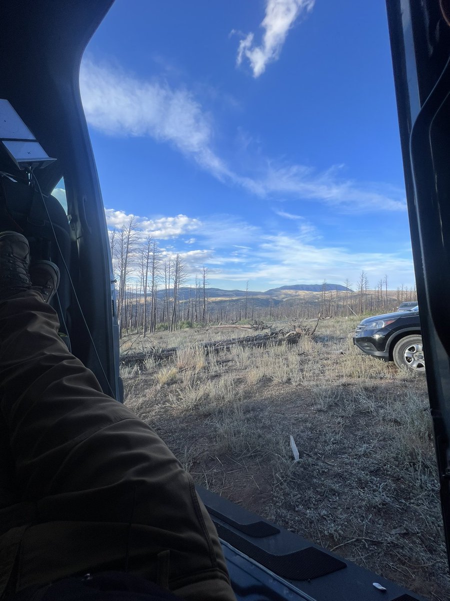 Life is gonna be okay