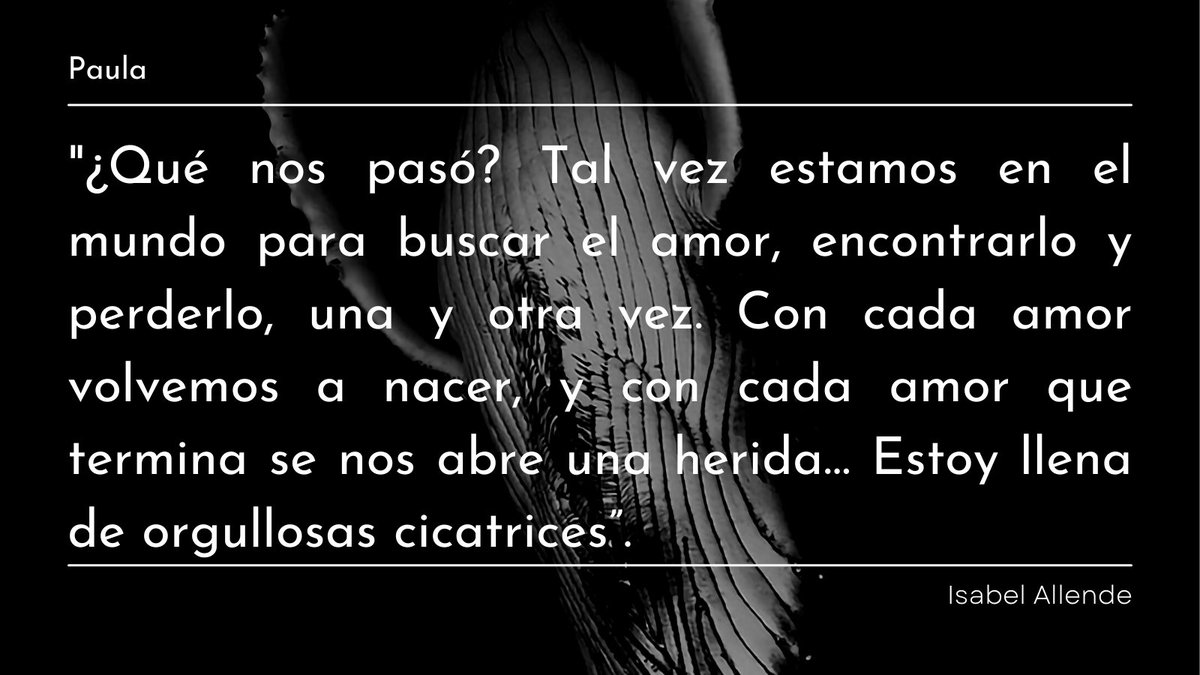clan_isho's tweet photo. Nos encantan los viernes de #frasesfavoritas. Nuestro amigo @pedronchy responde a la frase enviada por el profe @ProfePengp23
#Allende
#elamortransforma
#Frasesdelibros #leyendoconelclan
#cicatrices https://t.co/SLfqJK3XmS