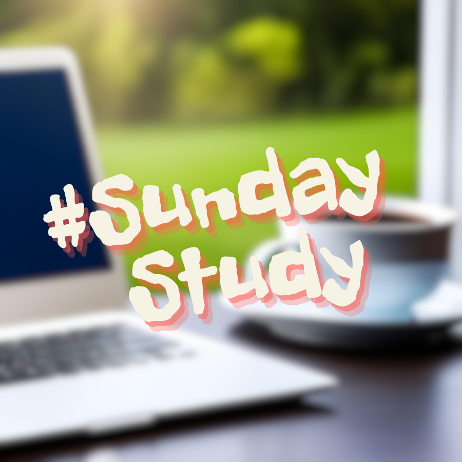 The WebDev Study Group tweet media
