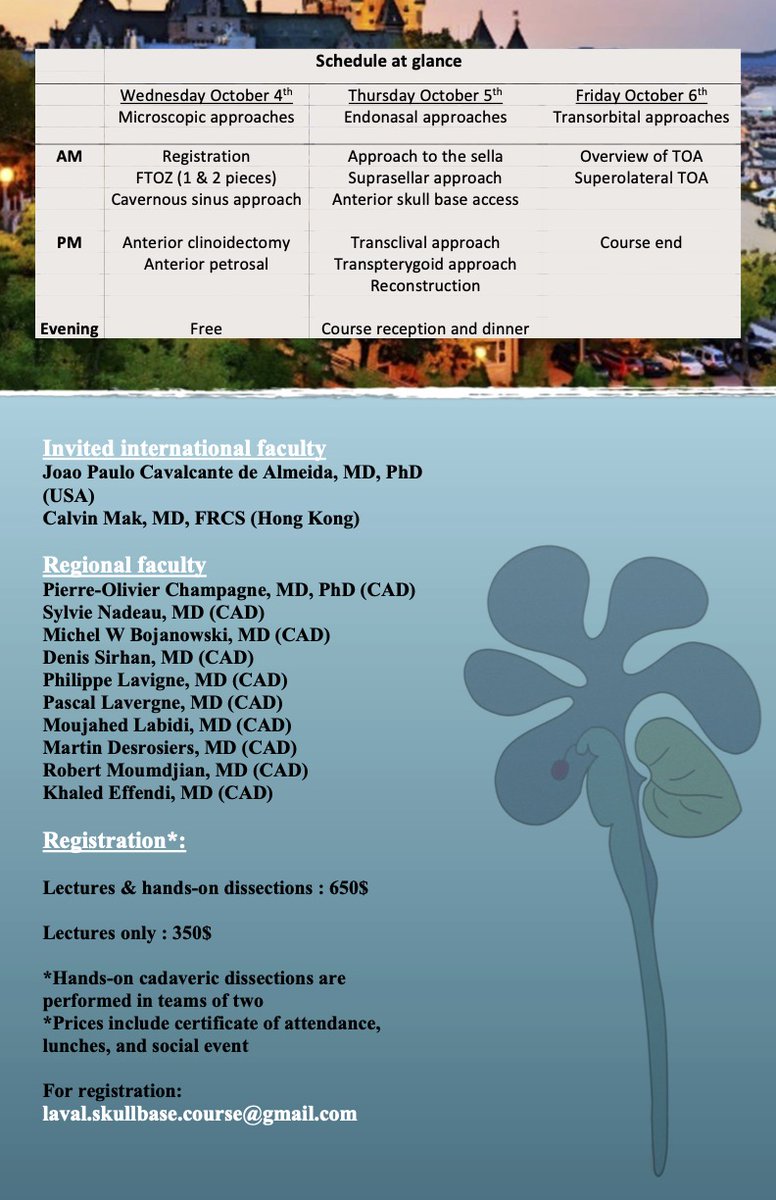 ChampagnePierr2's tweet photo. Less than 2 months until our first Université Laval Skull Base Hands-on Course, looking forward having @joao_p_almeida , @calvinmakhk  and @ehjvoormolen and invited professors from Canada for this unique event! https://t.co/VT89jIUZj5