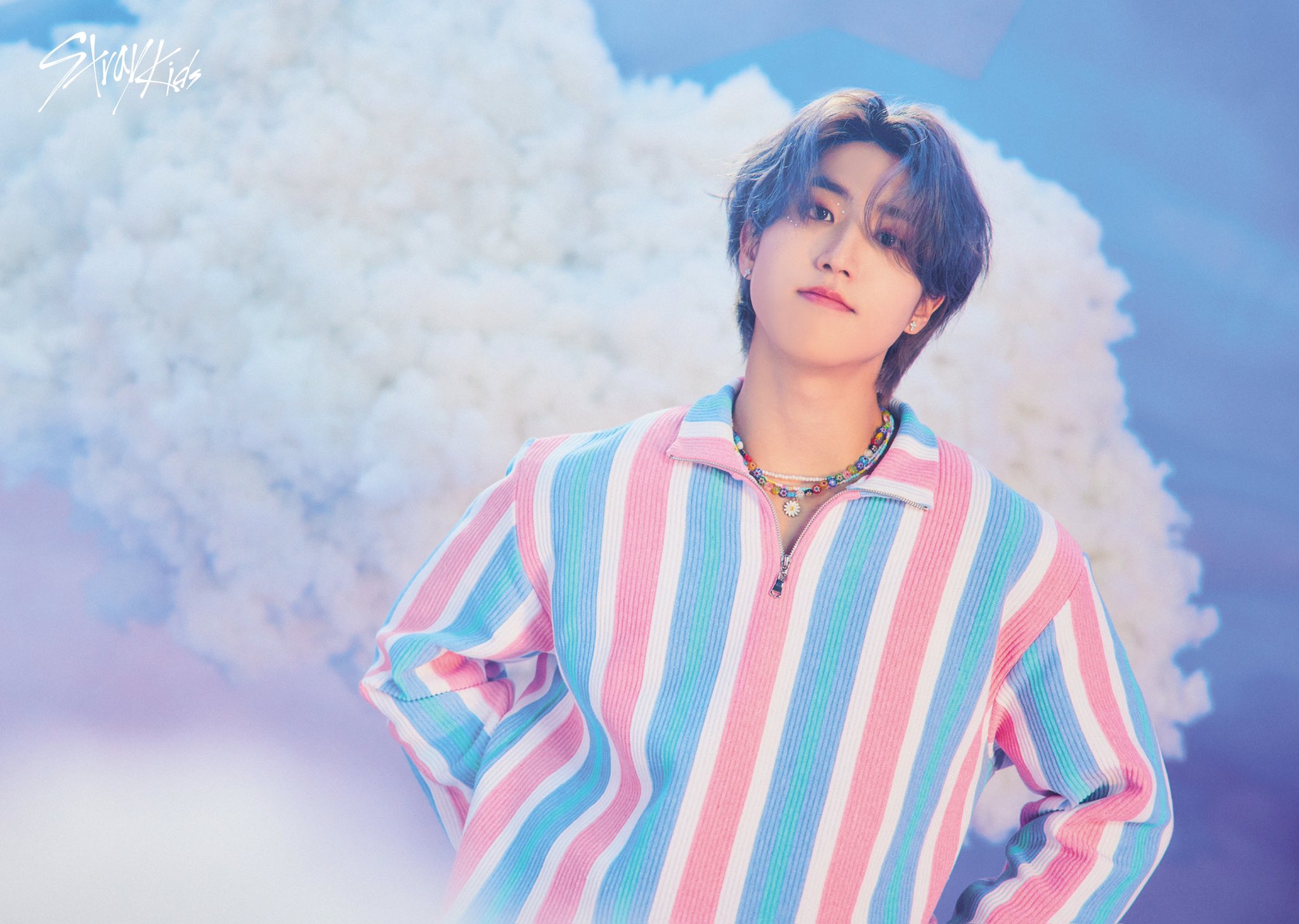 Stray Kids Japan Official on X: 