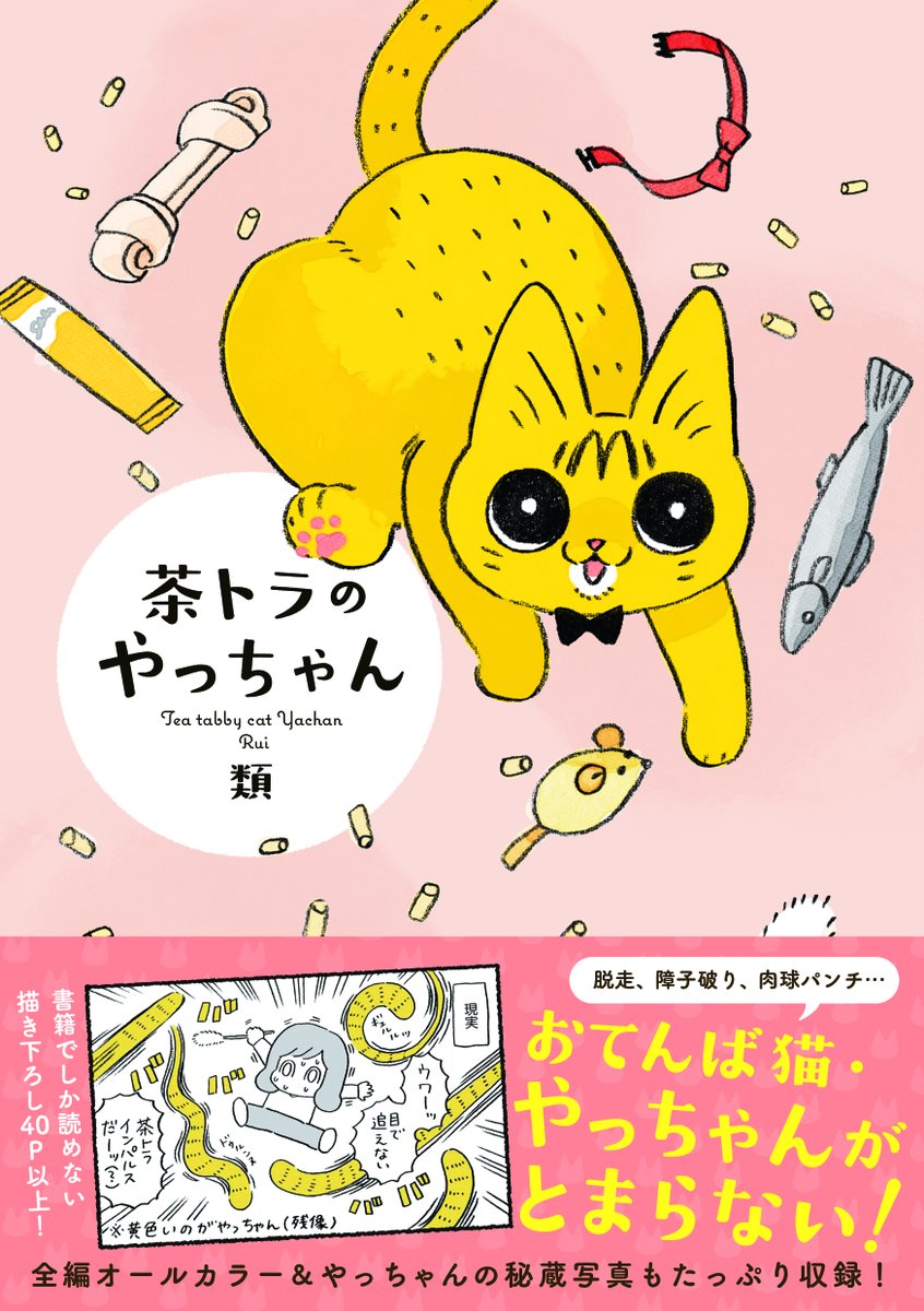 今ならAmazonで私の漫画(電子書籍版)が半額で買えちゃいます! 夏休みのお供にいかがでしょう🐊🐱✨ 