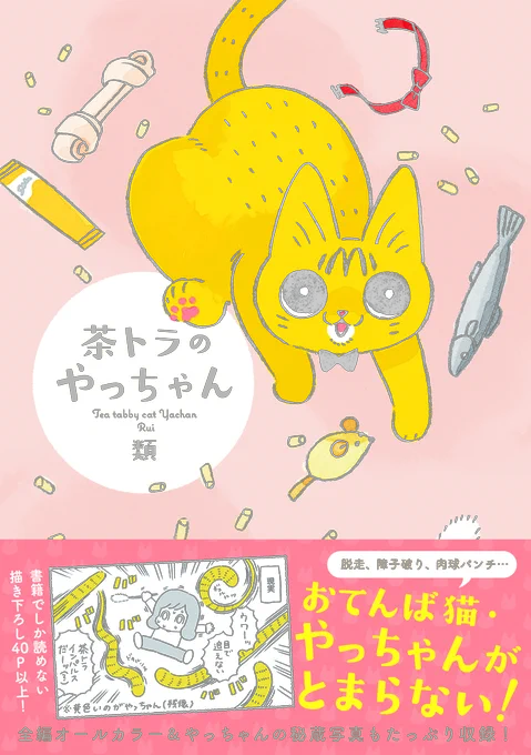 今ならAmazonで私の漫画(電子書籍版)が半額で買えちゃいます! 夏休みのお供にいかがでしょう🐊🐱✨ 