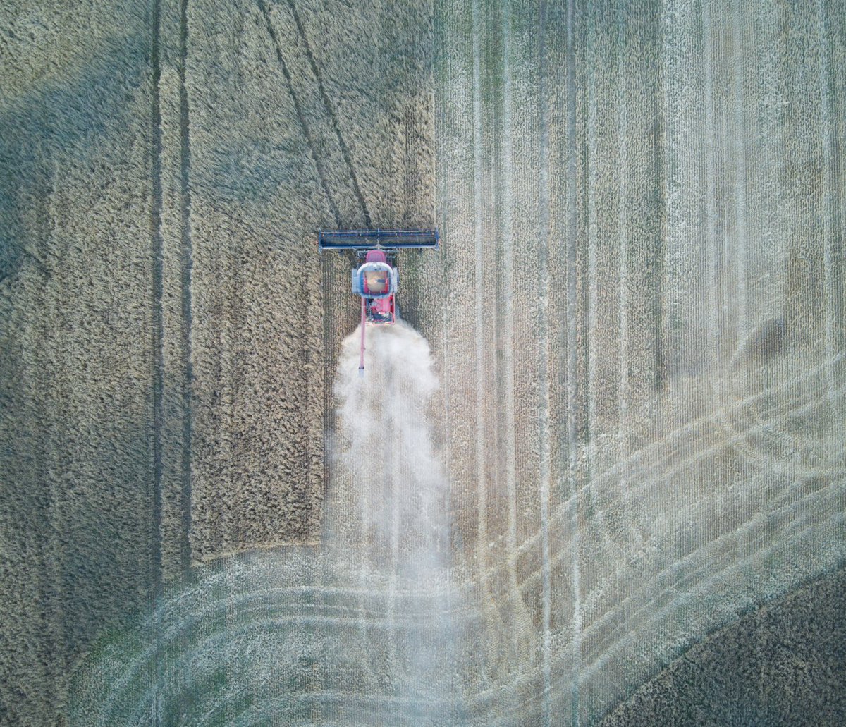 harvester
birds eye view
🤟
#djiAir2
#DJI #aerialphoto